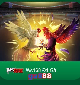 ga888